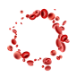 血红细胞3