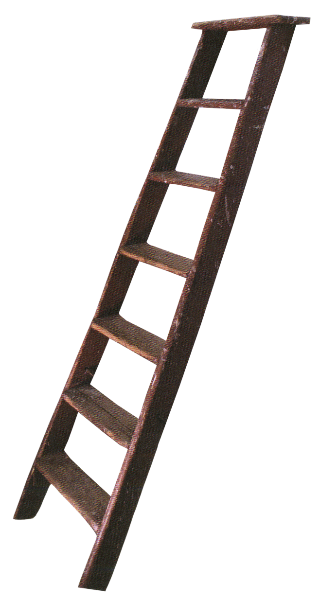 ladder-01