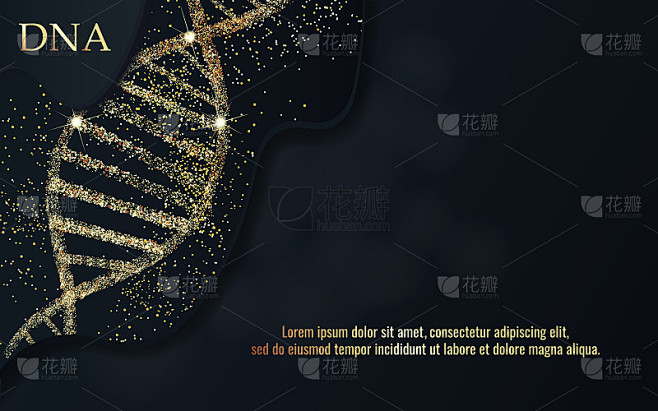 DNA序列，发光的DNA编码结构。