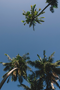 爱吃青豆的妮采集到风景