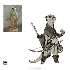 rachelhou777采集到动物