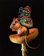 I Painted A New Species I Wish Existed – Meet The Mouserflies : I’m fascinated with the idea of hybrid species, and I love imagining an animal that exists completely unbeknownst to us, fluttering around in the dark and unseen by human eyes, but all around