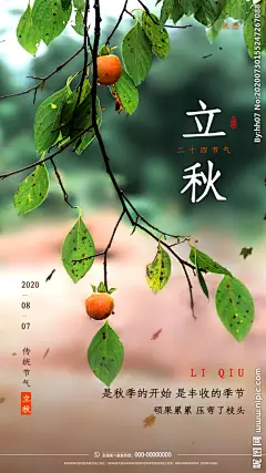 立秋图片,立秋模板下载,立秋 立秋插画 立秋习俗 立秋宣传展板 秋风,立秋设计素材,昵图网：图片共享和图片交易中心
