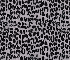 豹纹 【酷图网】热带叶子,棕榈,红棕榈,无缝拼接,棕树叶,叶子,欧式花,热带花卉,壁纸,花卉底纹,花卉背景,墙纸,背景墙,包装纸,手机壳,无缝墙纸,瓷砖图案,手机壳印花,布料图案,包装,图案,数码印花,移门图案,面料印花,无缝印花,无缝花纹,热带植物花卉