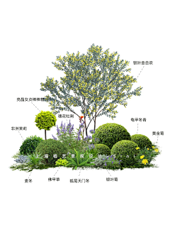嗯哼啊哈556677采集到组团