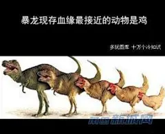 霸王蝾螈的搜索结果_百度图片搜索