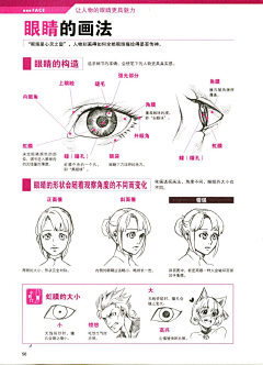 iwfly采集到线描