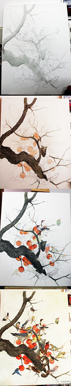 A-Yo_o采集到watercolor skills