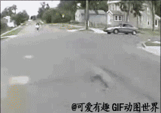 【GIF动态图片】装13的严重结果。 -...