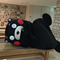 #可愛い #熊本熊 #熊本 #kumamon #くまモン#Cute #JAPAN #Kawaii #日本 #酷ma萌 #Kumamoto
#happy#cool#คุมะมง