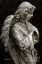 Beautiful Angel Praying Hands