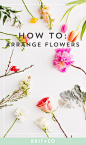 Read these tips to learn how to properly arrange various flowers, for Valentine's Day + beyond.: