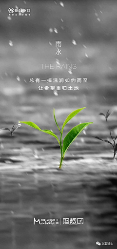 死美工也就这样吧采集到二十四节气/雨水