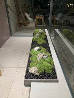 yvonnefeng采集到苔藓