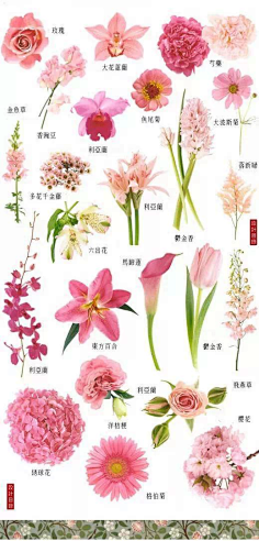 com水彩手绘花朵矢量25esp   - ps饭团网南京方圆美术学校采集到美轮