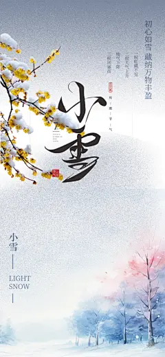 传统节气小雪海报