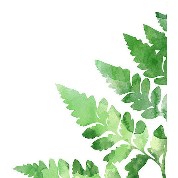 Fern Print : See thi...