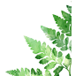 Fern Print : See this and similar wall art - A bit of nature and a pop of color will adorn your walls with this colorful print from Fybur! Dimensions: Measures 8" x 10". Det...
