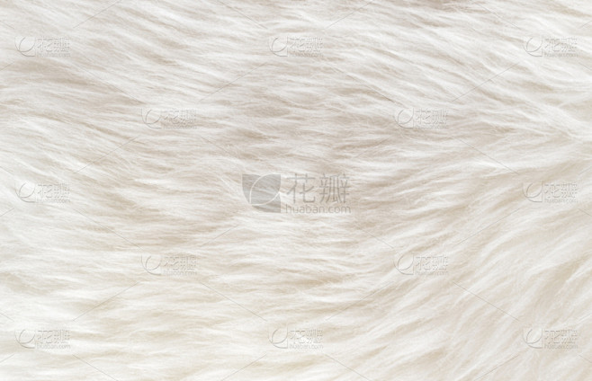 特写,毛绒绒,米色,自然,毛皮,绵羊,羊毛,白色,动物毛,背景