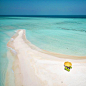 luxury page 在 Instagram 上发布：“It's a beautiful day in the Maldives at @dhigufaru” : 1,626 次赞、 12 条评论 - luxury page (@luxeresorts) 在 Instagram 发布：“It's a beautiful day in the Maldives at @dhigufaru”