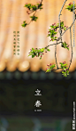 立春节气朋友圈宣传图图片,立春节气朋友圈宣传图模板下载,24节气 立春朋友圈 立春 立春宣传海报 立春海报,立春节气朋友圈宣传图设计素材,昵图网：图片共享和图片交易中心