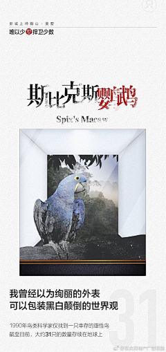 传媒部救星采集到招商
