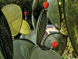 Ficus, a steel cactus designed by Chiaramonte-Marin