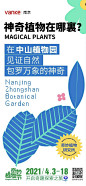 系列稿