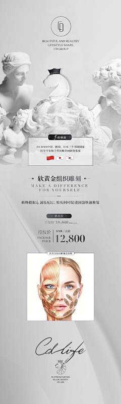 一棵树的仰望采集到卡多利亚
