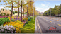 乡村旅游景区市政公园道路花境景观设计鲜花卉植物PSD素材效果图-淘宝网