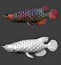 Arowana antique (铜胎珐琅龙鱼）, Zhelong XU : It‘s a Project for our online courses in early next year.Orginal design by myself. 
This is lesson one,"Overview of Zbrush-Keyshot-Substance painter Workflow "
为我们明年初的在线课程准备的案例之一，”流程总览，从zbrush到substancepain