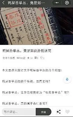遇见凤凰单丛