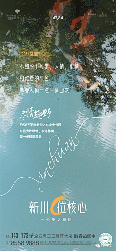 JackyOr采集到文旅盘