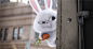 #电影# #海报# #人设# #素材# #动画# #爱宠大机密# #The Secret Life of Pets# #宠物当家#