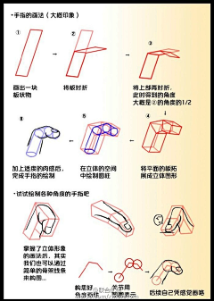 不能好好玩耍采集到人体结构 