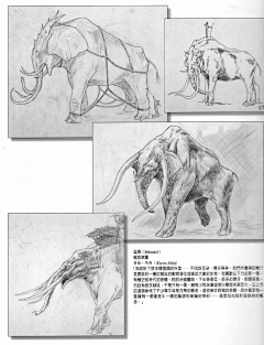 evo50采集到魔戒电影设定