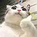 软家