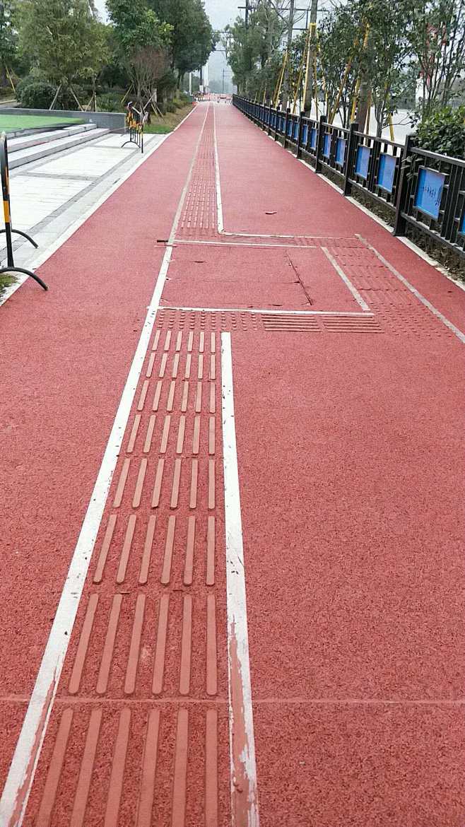 盲道