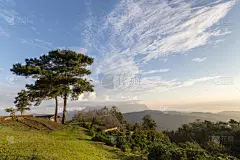 松树,小屋,山,自然,天空,美,草地,水平画幅,地形,无人