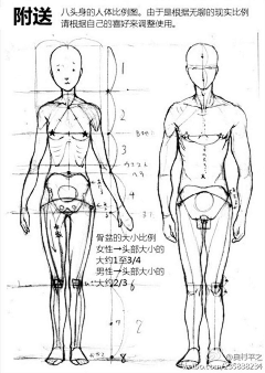 华子先森采集到绘画资料