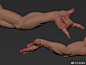 一组来自3D艺术家Pablo Perdomo的手臂模型，结构夸张，非常适合练习【一】另‘在画速写’App也在抓紧研发中，希望能给大家带来更好的使用体验，敬请期待 作品by:O网页链接 #绘画参考##速写参考# ​​​​