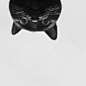 ʙʟᴀᴄᴋ 小黑猫 ⚫️