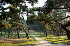 小覃Qin采集到陵园景观