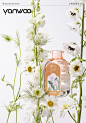 香薰 产品摄影 电商拍摄 商业摄影 护肤品拍摄 美妆 Product Photography perfume 场景图 香水拍摄