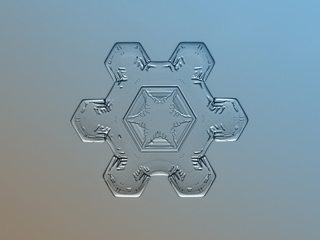 Snow flower