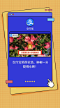 热云数据-CAS