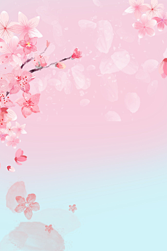 smile-c-c采集到花