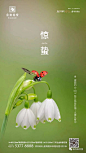 惊蛰画面------二十四节气（朋友圈）
