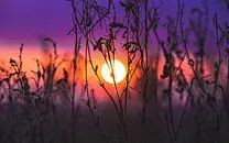 傍晚的夕阳朦胧风景高清图片壁纸2