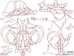 一个花姑娘采集到body